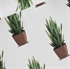 Picture of Sansevieria - French Terry - Gebroken Wit