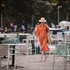 Bild von Frottee - HerbstAhornOrange